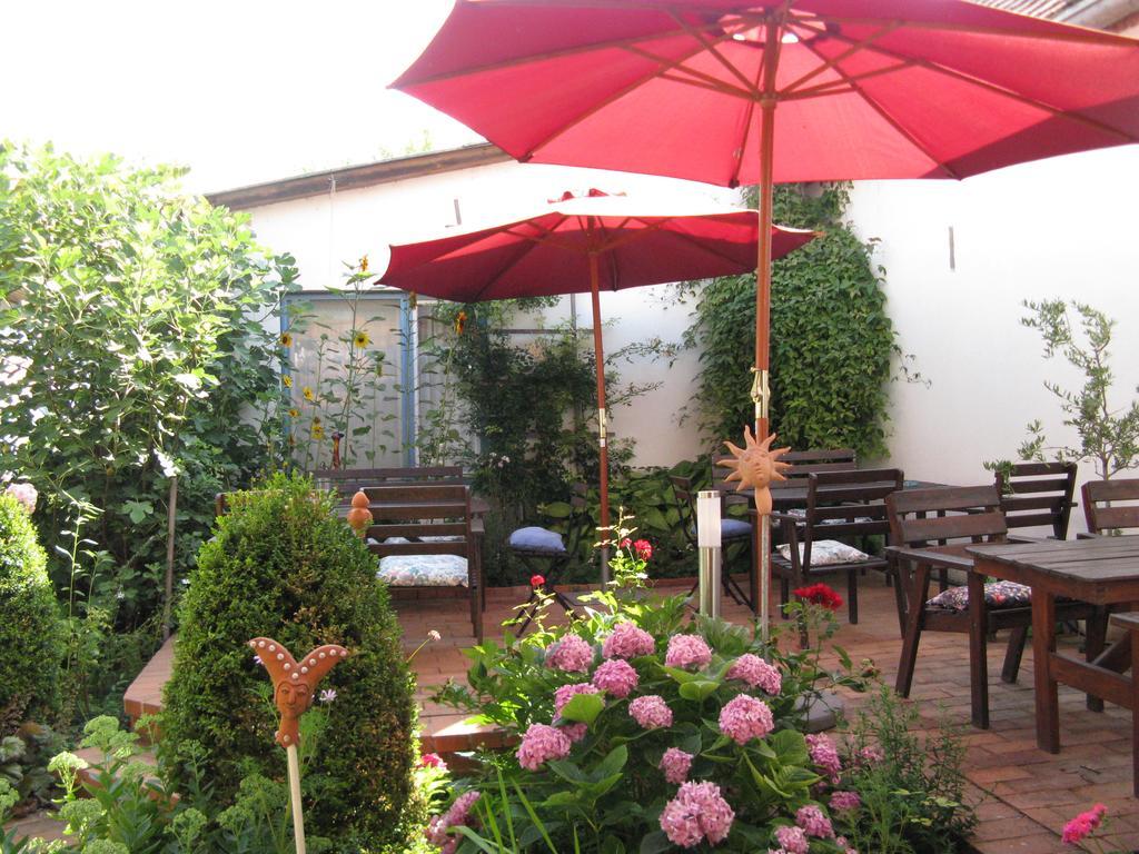 Stieglerhof Kg -Apartments Illmitz- المظهر الخارجي الصورة
